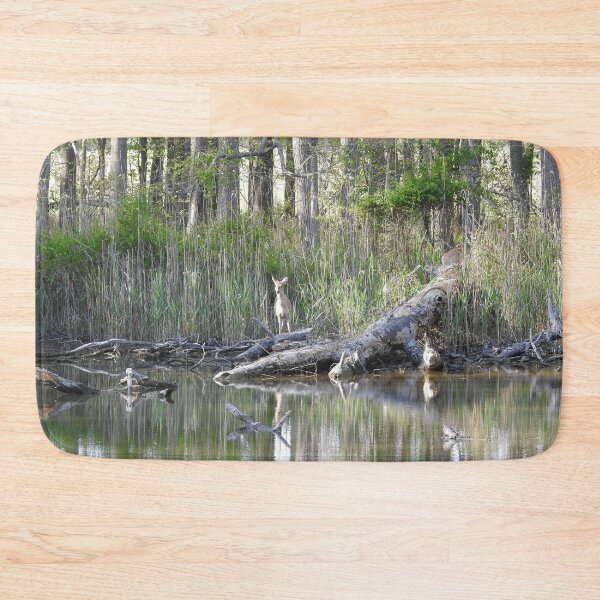 Item preview, Whitetail deer, wild animal, wildlife gifts designed and sold by Sandra O'Toole.