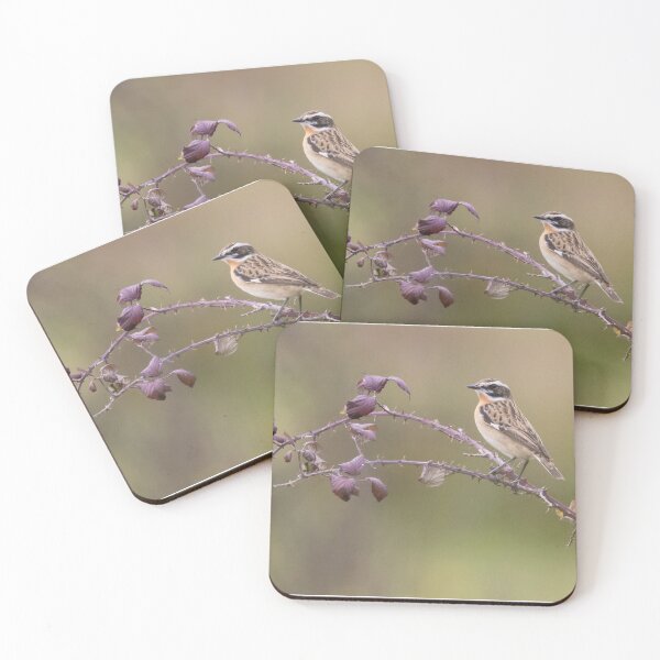 Item preview, Whinchat designed and sold by LaurenTucker.