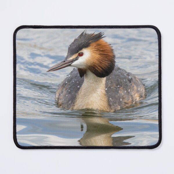 Item preview, Great Crested Grebe designed and sold by LaurenTucker.
