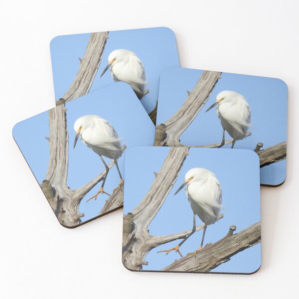 Item preview, Snowy egret, wild birds, wildlife gifts designed and sold by Sandra O'Toole.