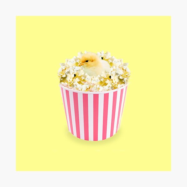 Little Chicken Popcorn by Alice Monber Photographic Print
