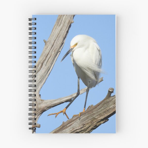 Item preview, Snowy egret, wild birds, wildlife gifts designed and sold by Sandra O'Toole.