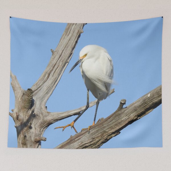 Item preview, Snowy egret, wild birds, wildlife gifts designed and sold by Sandra O'Toole.