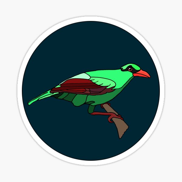 Javan Green Magpie Sticker