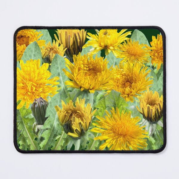 Item preview, Dandelion - a meadow full of future wishes - with background in dark green designed and sold by Binas-gallery.
