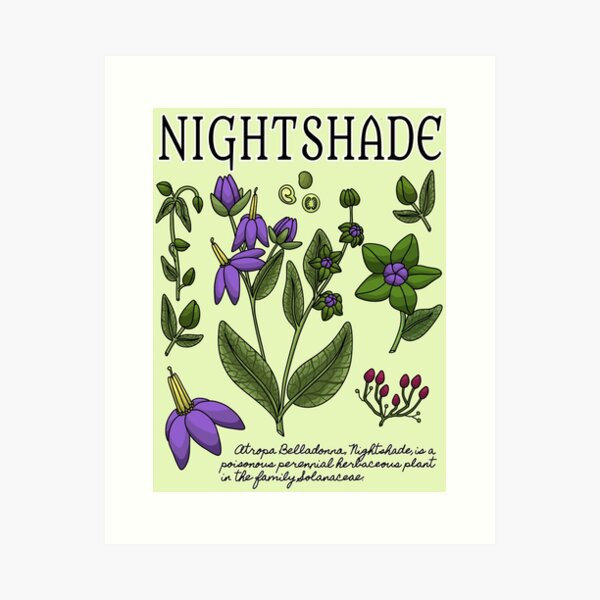 Aperçu de l'œuvre Botanique Nightshade créée et vendue par Valerie Woods.