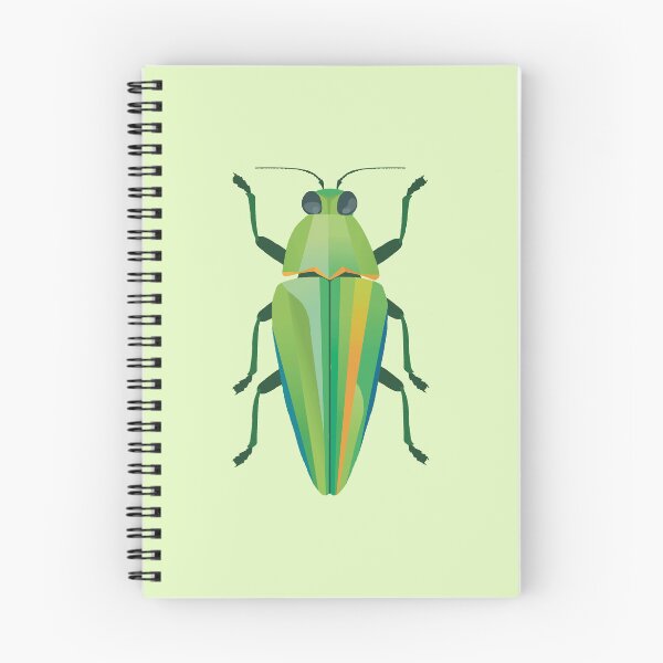 Aperçu de l'œuvre Jewel Beetle créée et vendue par Alan2903.