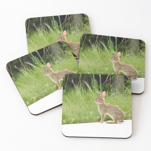 Item preview, Cottontail rabbit, wild animals, wildlife gifts designed and sold by Sandra O'Toole.