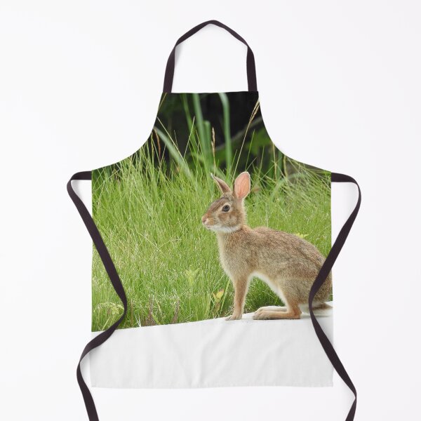 Item preview, Cottontail rabbit, wild animals, wildlife gifts designed and sold by Sandra O'Toole.