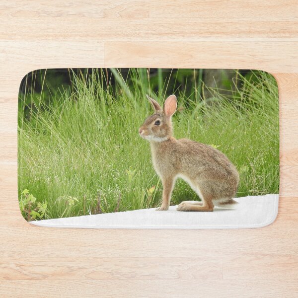 Item preview, Cottontail rabbit, wild animals, wildlife gifts designed and sold by Sandra O'Toole.