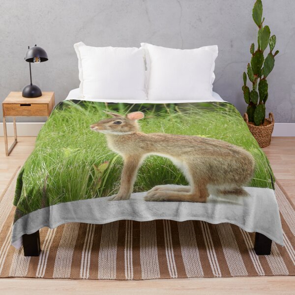 Item preview, Cottontail rabbit, wild animals, wildlife gifts designed and sold by Sandra O'Toole.