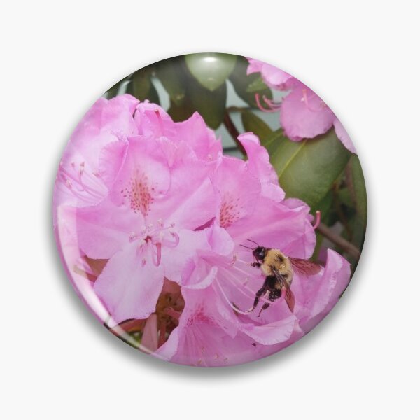Item preview, The Bee - A Busy Bee on Cape Cod Visits an Azalea Bush  designed and sold by WigOutlet.