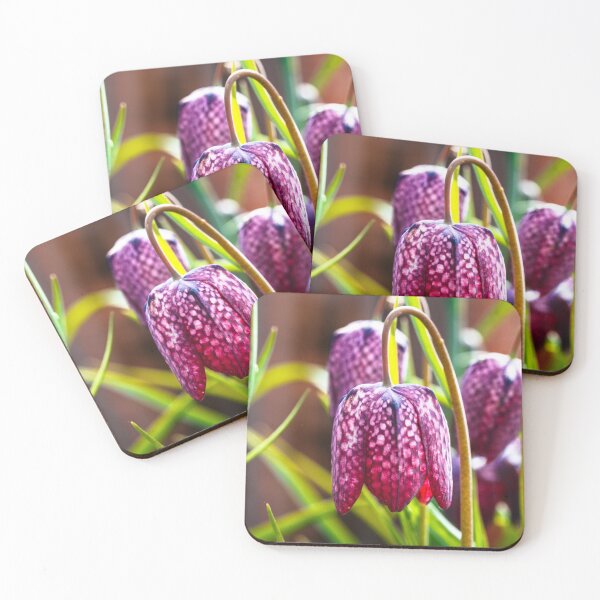 Item preview,  Group of Chess Flowers designed and sold by jillianbutolphphoto.