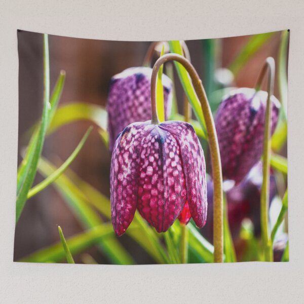 Item preview,  Group of Chess Flowers designed and sold by jillianbutolphphoto.