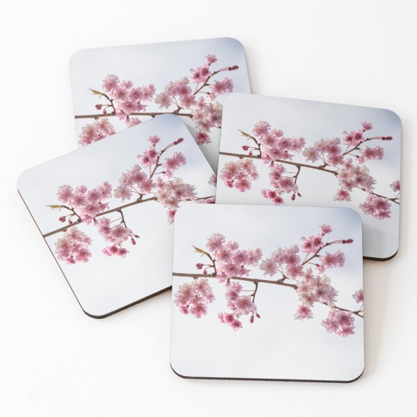 Item preview,  Cherry Blossoms Against Sky	 designed and sold by jillianbutolphphoto.
