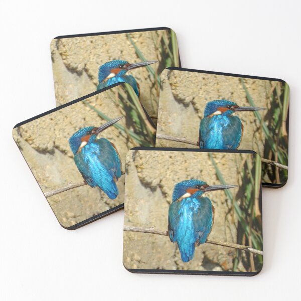 Item preview, A fabulous Male Kingfisher designed and sold by Karen Thomson.