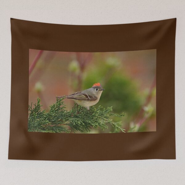 Item preview, Do You Like My Crown designed and sold by Deb Oppermann.