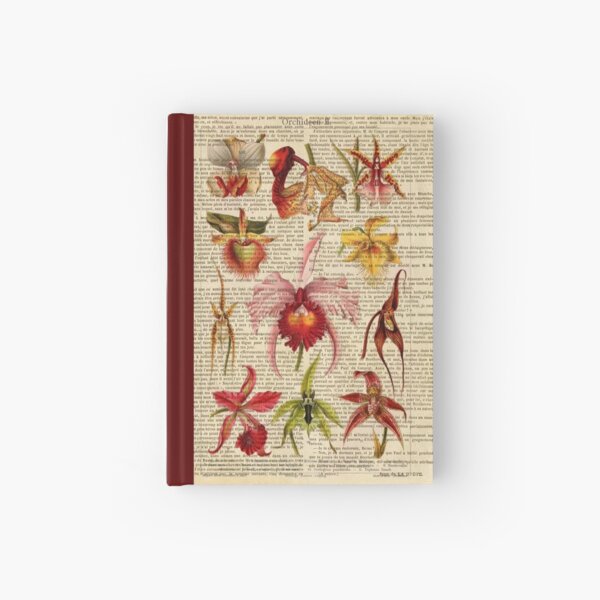 Item preview, Botanical print, on old book page - orchid designed and sold by Art by Lilia.