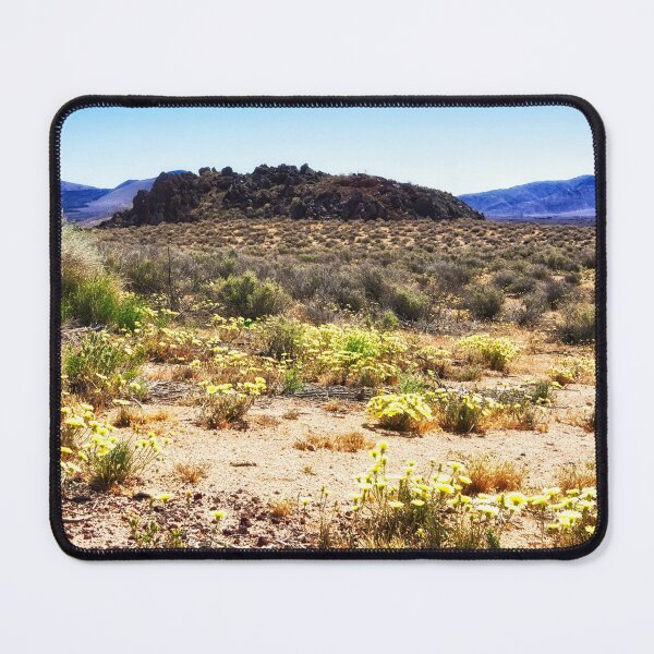Item preview, Death Valley super bloom designed and sold by Travelways.