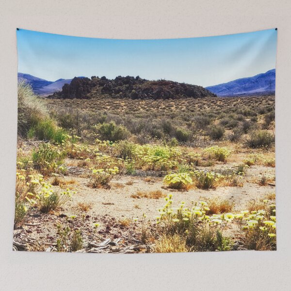 Item preview, Death Valley super bloom designed and sold by Travelways.