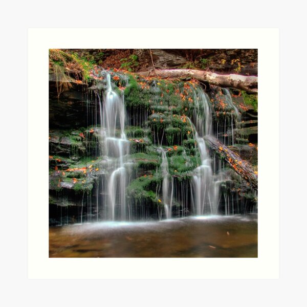 Mossy Cascade Art Print