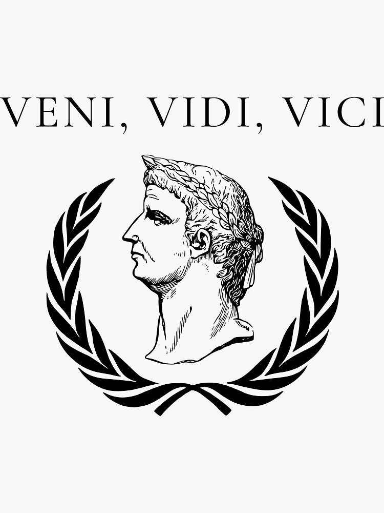 Veni Vidi Vici - Latin saying' Sticker