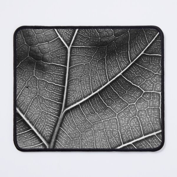 Item preview, Fiddle Leaf Fig  designed and sold by Abundance  Aesthetic.