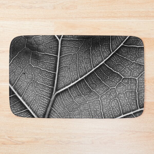 Item preview, Fiddle Leaf Fig  designed and sold by Abundance  Aesthetic.