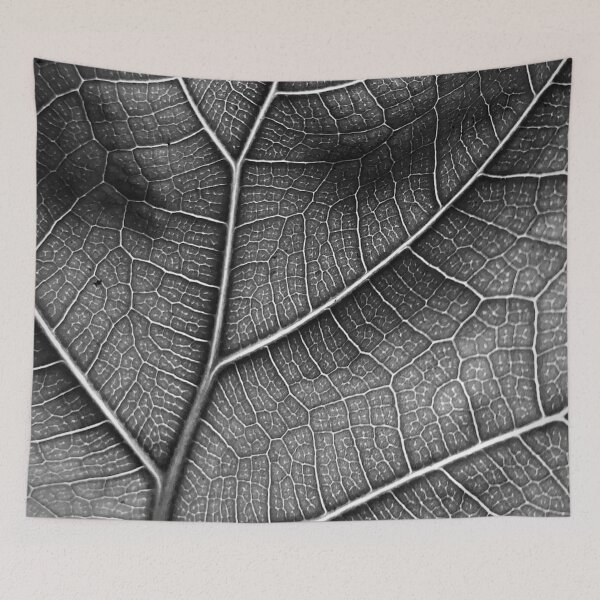 Item preview, Fiddle Leaf Fig  designed and sold by Abundance  Aesthetic.