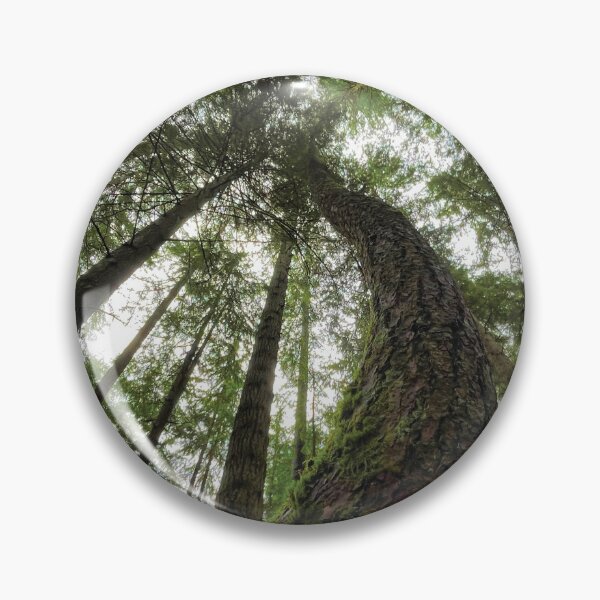 Item preview, Forest Canopy designed and sold by BugCreative.