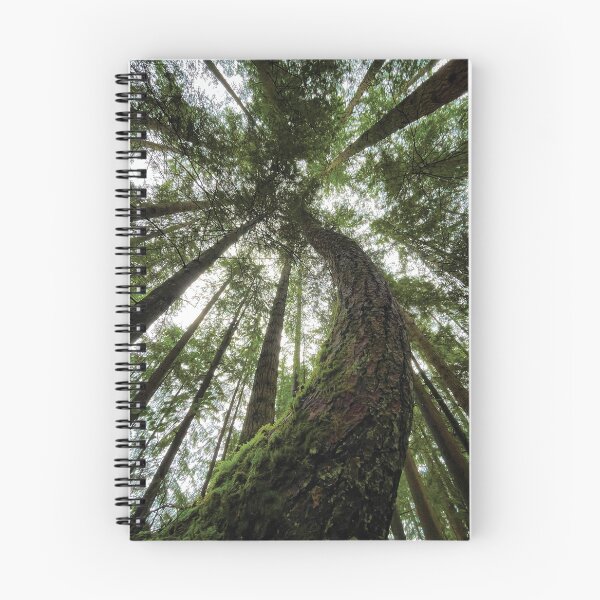 Item preview, Forest Canopy designed and sold by BugCreative.