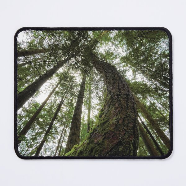 Item preview, Forest Canopy designed and sold by BugCreative.