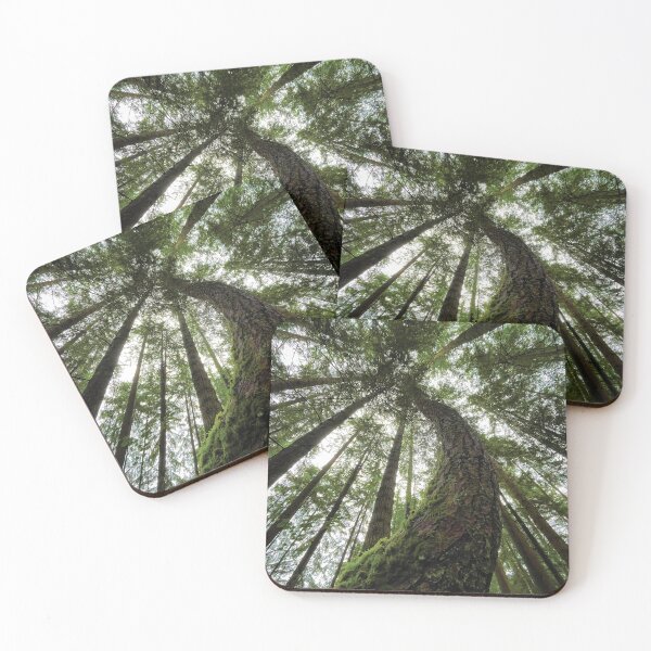 Item preview, Forest Canopy designed and sold by BugCreative.
