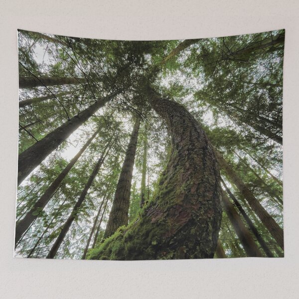 Item preview, Forest Canopy designed and sold by BugCreative.