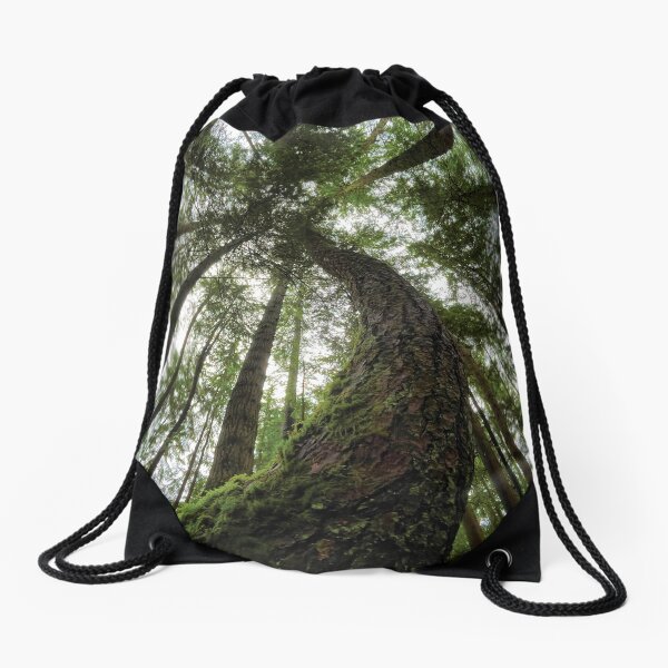 Item preview, Forest Canopy designed and sold by BugCreative.