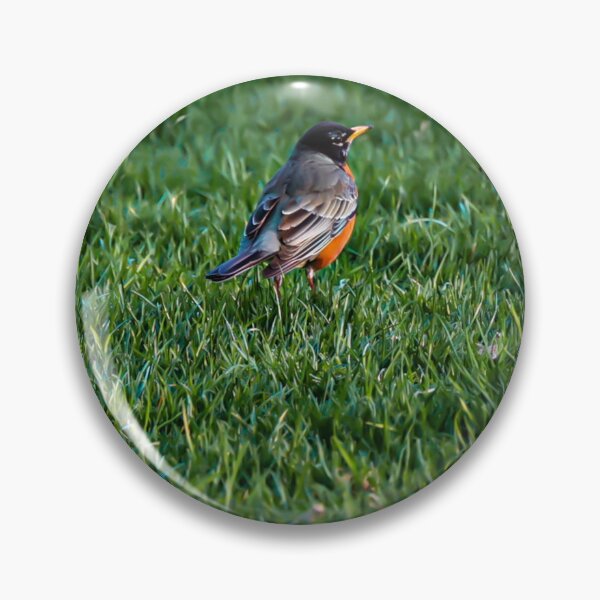 Item preview, Robin designed and sold by morethanaslice.