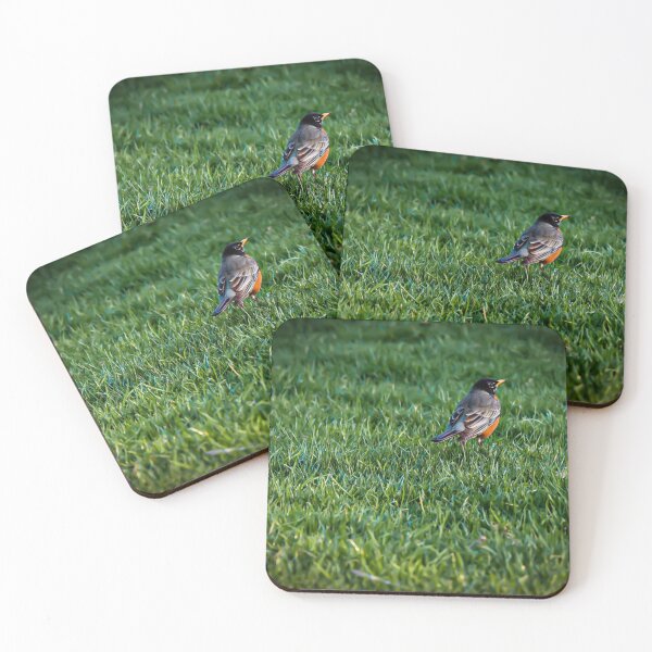 Item preview, Robin designed and sold by morethanaslice.