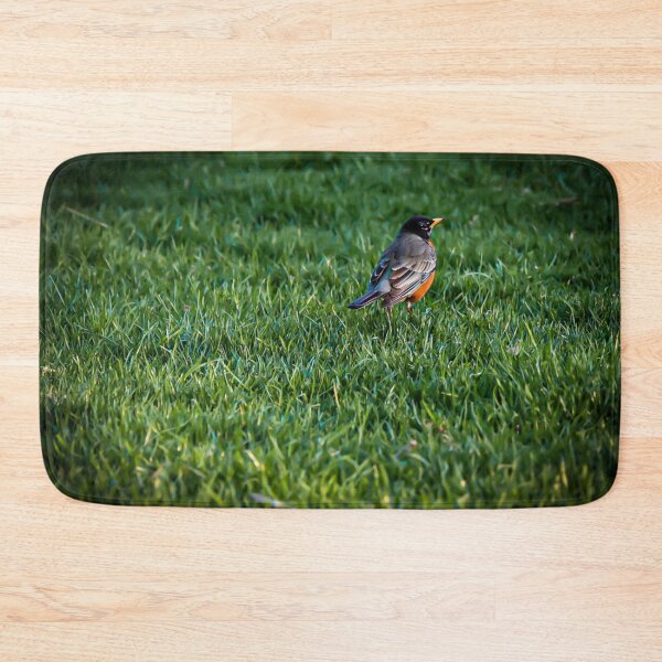Item preview, Robin designed and sold by morethanaslice.