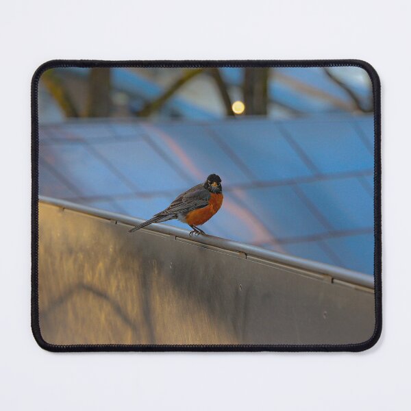 Item preview, Robin Face-Off designed and sold by morethanaslice.