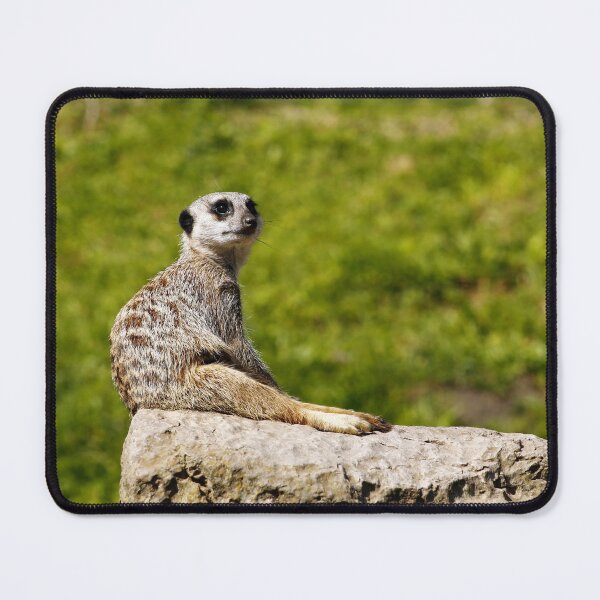 Item preview, Meerkat Lookout designed and sold by MartinPhotos.
