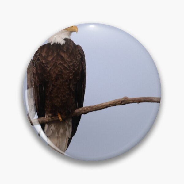 Item preview, Majestic and Intent designed and sold by fototaker Tony.