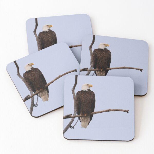 Item preview, Majestic and Intent designed and sold by fototaker Tony.