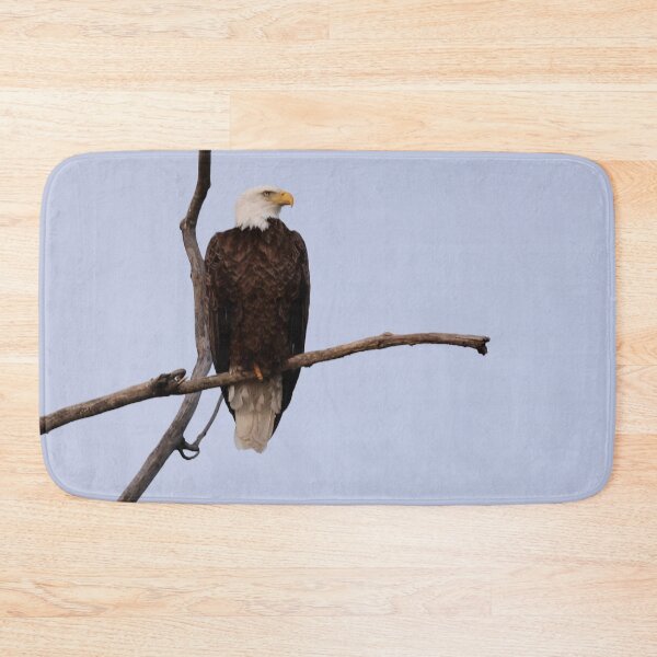 Item preview, Majestic and Intent designed and sold by fototaker Tony.