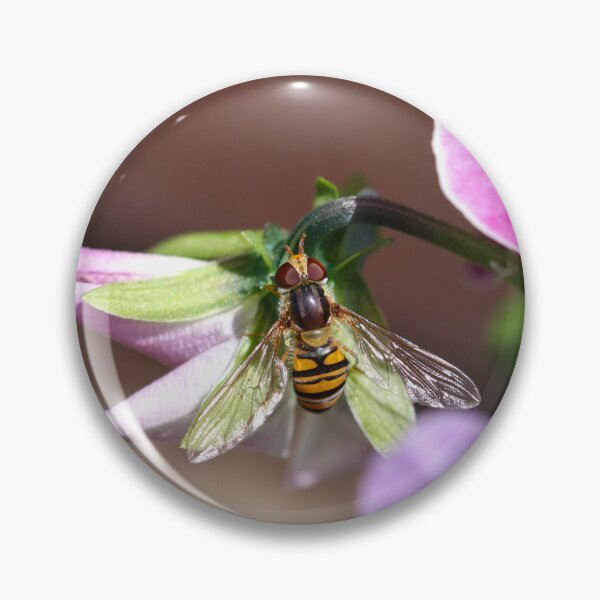 Item preview, Hoverfly in pansies designed and sold by GreyFeatherPhot.