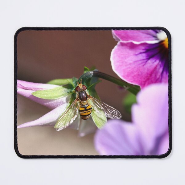 Item preview, Hoverfly in pansies designed and sold by GreyFeatherPhot.