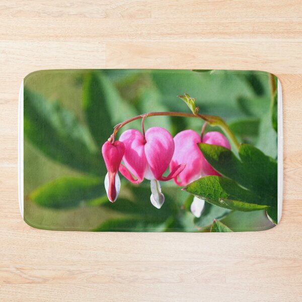 Item preview, Bleeding Hearts - Lamprocapnos spectabilis designed and sold by GreyFeatherPhot.