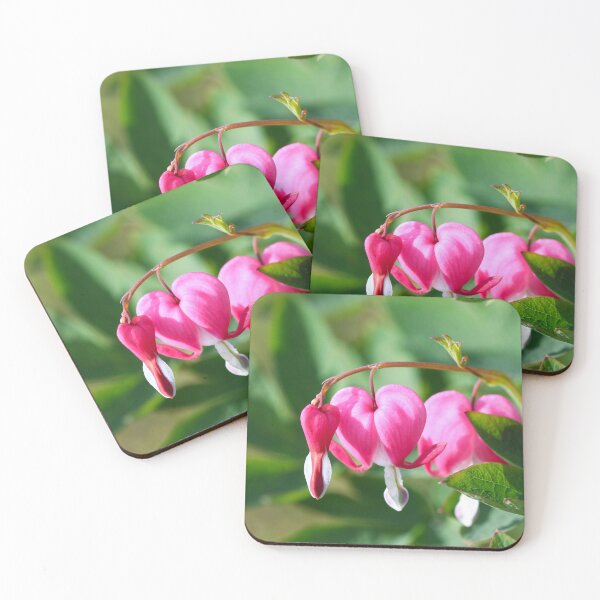 Item preview, Bleeding Hearts - Lamprocapnos spectabilis designed and sold by GreyFeatherPhot.