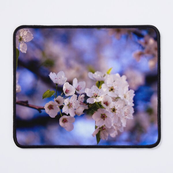 Item preview, In Bloom II designed and sold by morethanaslice.