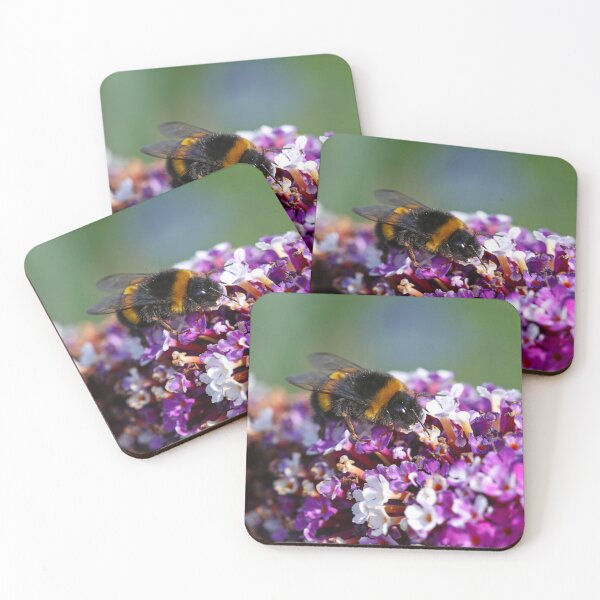 Item preview, Buff tailed bumblebee on buddleia designed and sold by GreyFeatherPhot.