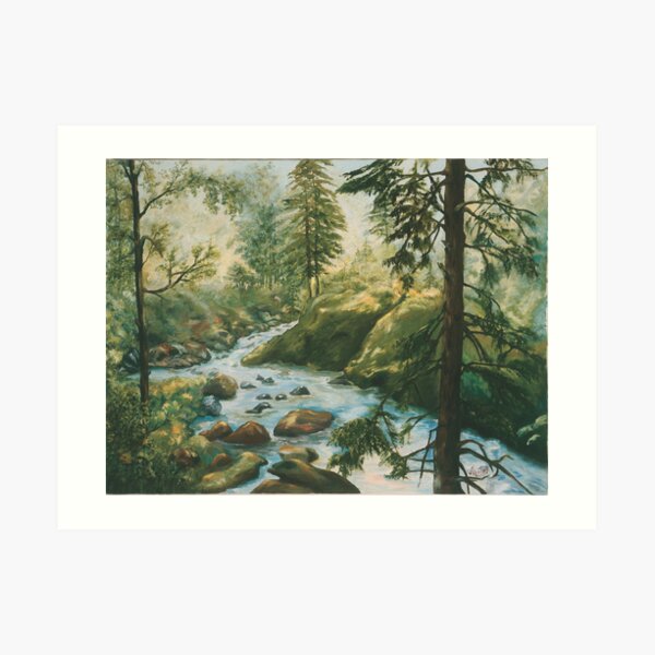 Adirondack Stream Art Print